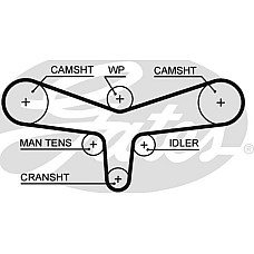 Curea de distributie AUDI A4 B5 A4 B6 A4 B7 A6 C5 A8 D2 ALLROAD C5 SKODA SUPERB I VW PASSAT B5 PASSAT B5.5 2.5D 0 AUDI A4 (8D2, B5), Sedan, 11.1994 - 12.2001 Gates 5557XS