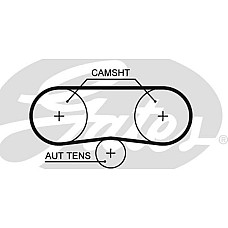 Curea de distributie AUDI A2 SEAT ALTEA ALTEA XL AROSA CORDOBA CORDOBA VARIO IBIZA II IBIZA III IBIZA IV IBIZA IV VW GOLF PLUS (5M1, 521), Hatchback, 12.2004 - 12.2013 Gates 5516XS