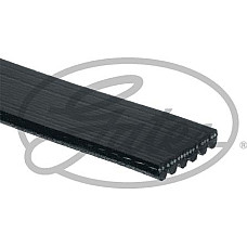 Curea transmisie cu canel Multi-V-belt 6PK1555 FORD ESCORT VI (AFL), Sedan, 08.1993 - 01.1995 Gates 6PK1555