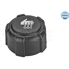Buson,vas expansiune RENAULT GRAND SCENIC II (JM0/1_), Dubita, 04.2004 - 06.2009 Meyle 16-14 228 0000