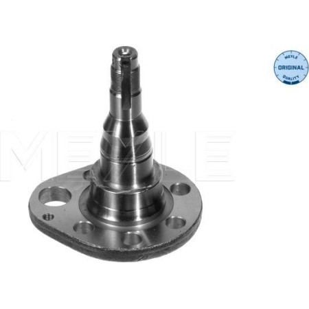 Articulatie directie. suspensie roata stecher butuc roata spate Dreapta SEAT AROSA CORDOBA CORDOBA VARIO IBIZA II SEAT AROSA (6H), Hatchback, 05.1997 - 06.2004 Meyle 100 501 0036