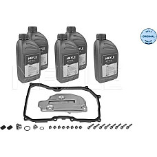 Set piese. schimb de ulei cutie de viteze automata Automatic gearbox hydraulic filter with gasket With oil 09G 09M TF-60SN VW JETTA IV (162, 163, AV3, AV2), Sedan, 04.2010 - Meyle 100 135 0100