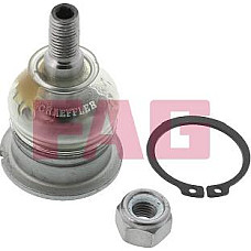 Pivot HONDA CRX III (EH, EG), Targa, 03.1992 - 12.1998 FAG 825 0037 10