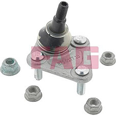 Pivot VW NEW BEETLE (9C1, 1C1), Hatchback, 01.1998 - 11.2010 FAG 825 0177 10