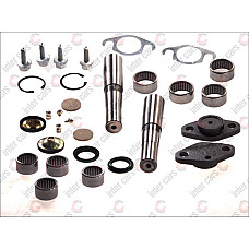 Set reparatie pivot IVECO EuroCargo Producator LEMA LE101