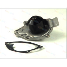 pompa apa RENAULT ESPACE IV JK0/1 Producator THERMOTEC D1R036TT