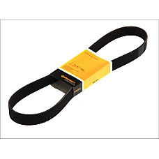 Curea transmisie cu caneluri 8PK2440 curea CONTI wieloklinowy DB S-Class W140 CONTITECH 8 PK 2440