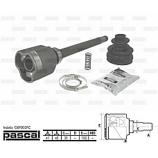 Set articulatie planetara PEUGEOT BOXER Autobus 230P Producator PASCAL G8F003PC