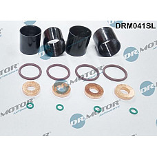 Set garnituri etansare,injectoare RENAULT VEL SATIS (BJ0_), Dubita, 06.2002 - Dr.Motor Automotive DRM041SL