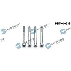 Surub, suport injector PEUGEOT 5008 II (MC_, MJ_, MR_, M4_), Dubita, 12.2016 - Dr.Motor Automotive DRM01093S