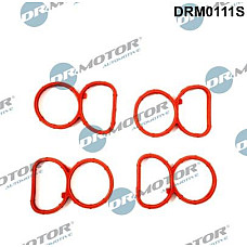 Set garnituri, galerie admisie BMW 3 - V (E92), Compartiment, 01.2005 - 12.2013 Dr.Motor Automotive DRM0111S