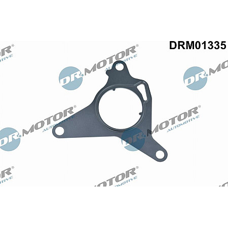 Garnitura, pompa vacuum Dr.Motor Automotive DRM01335