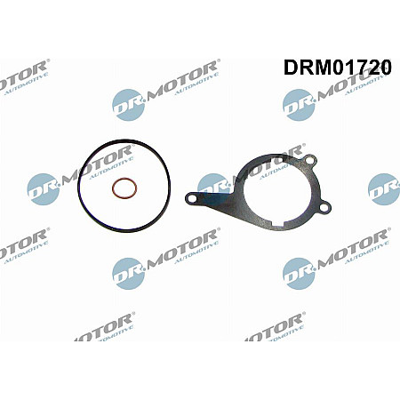 Garnitura, pompa vacuum Dr.Motor Automotive DRM01720
