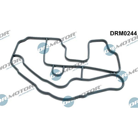 Garnitura, carcasa termostat RENAULT LAGUNA II (BG0/1_), Hatchback, 03.2001 - 12.2007 Dr.Motor Automotive DRM0244