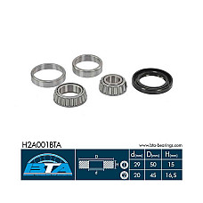 set rulment roata roata SEAT INCA (6K9) BTA H2A001BTA