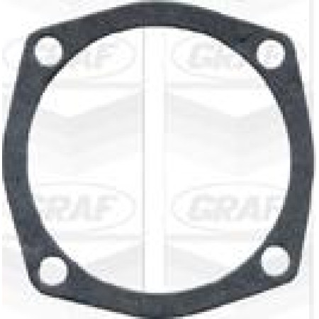 Pompa apa ALFA ROMEO 145 (930_), Hatchback, 07.1994 - 01.2001 Graf PA101