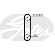 Curea de distributie AUDI A1 A3 SEAT ALTEA ALTEA XL IBIZA IV IBIZA IV SC IBIZA IV ST LEON TOLEDO IV SKODA FABIA I VW TRANSPORTER VI (SGA, SGH, SHA, SHH), Van, 04.2015 - Gates T358HOB