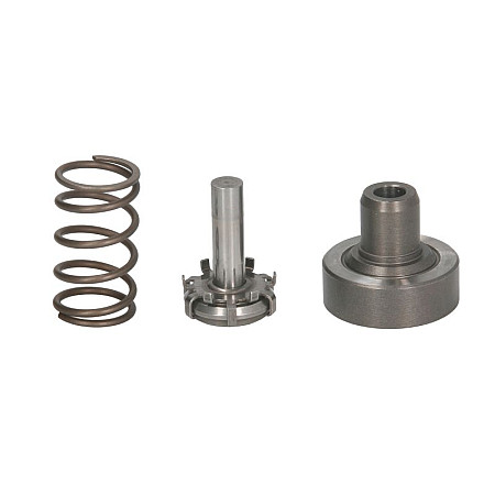 Alte elemente sistem combustibil Sectiunea de pompare a pompei CP1 BOSCH F 01M 101 349