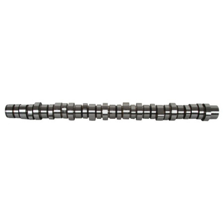 Ax cu came Arbore cu came D13K DXI13 OE GERMANY 03 0500 D13002