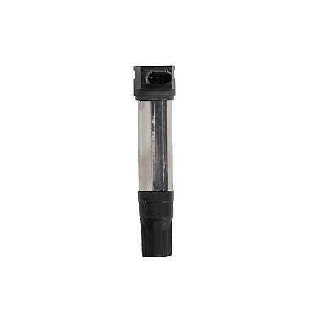 Bobina de inductie BORGWARNER (BERU) ZS 385