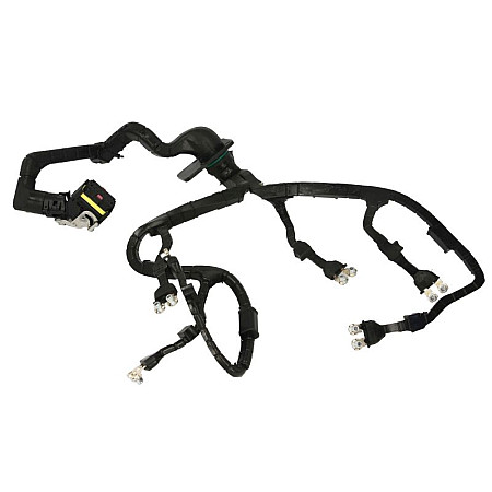 Cablu electric Fir de cablu injectoare MAN PETERS 030.681-00