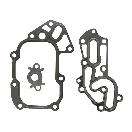 Etansare, racire ulei Garnitura radiator ulei set MULTICAR FUMO F1CE0481F 09.06- LEMA LE70054.25