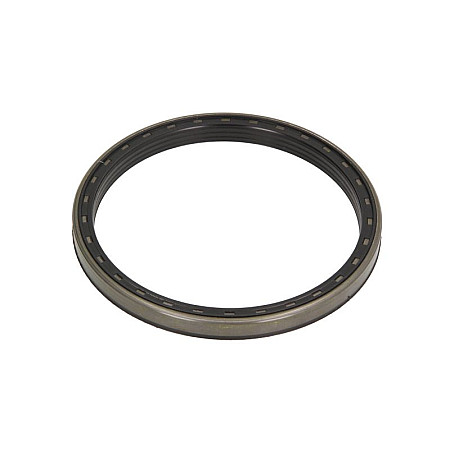 Simering, butuc roata Material etansare motor 165x190x155/165mm LANDINI 4-090 4-100 5-080H 5-090D 5-090H 5-100D 5-100H 5-110D 5-110H 5.115H 7865 8860 8865 100 105 80 90 110 CORTECO CO12019930B