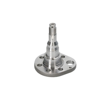 Articulatie directie, suspensie roata stecher butuc roata spate Stanga SEAT AROSA CORDOBA CORDOBA VARIO IBIZA II INCA TOLEDO I VW GOLF III PASSAT B3/B4 POLO POLO III POLO III CLASSIC 1.0-Electric 02.88-06.04 MEYLE 100 501 0037