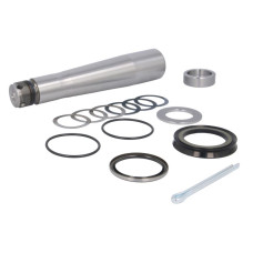 Set reparatie, pivot Kit pivot pe set 1 roata fara rulment cu pivot 38mm/50mmx252mm VOLVO B10 B12 B9 F10 F12 F16 FH12 FH16 FL10 FL12 FL6 FL7 FM10 FM12 FM7 FS7 N10 NH12 01.73- C.E.I 198386