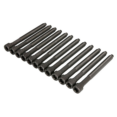 Set surub chiulasa bolturi AUDI A3 TT VW JETTA III IV NEW BEETLE 25 0705  ELRING EL005610