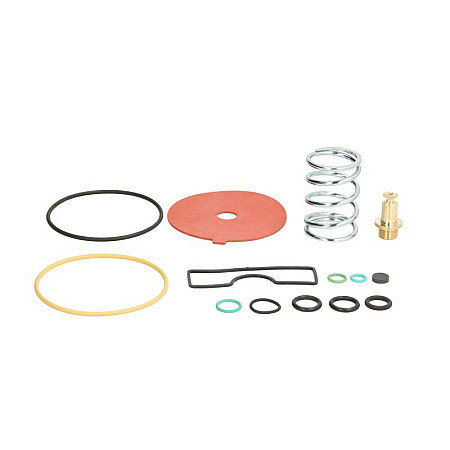 Kituri de reparare a reductorului Vaporizer repair kit Spring Valve reducer: GENIUS MB BRC LPG BRC/Z1200