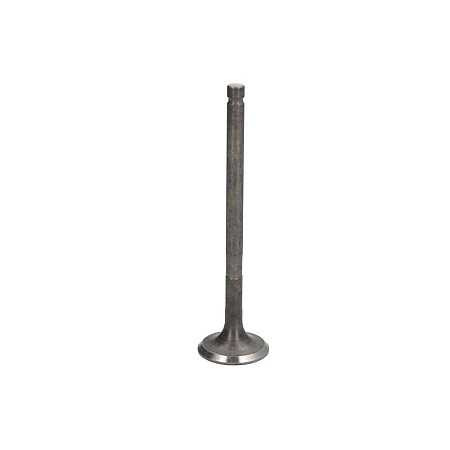 Supapa evacuare Exhaust valve 229x55x87 NISSAN PIXO OPEL AGILA SUZUKI ALTO VII CELERIO SPLASH 1.0/1.0LPG 01.08- FRECCIA R6906/RARNT