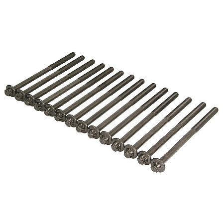 Set surub chiulasa bolturi BMW ELRING EL233380
