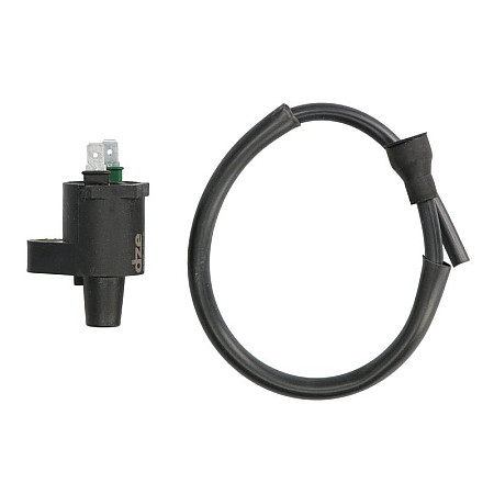 Bobina de inductie DZE DZE04019