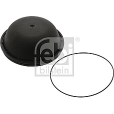 Capac. butuc roata Capacul butucului rotii RVI KERAX MAGNUM MIDLUM PREMIUM PREMIUM 2 dCi11-270-MIDR06.24.65C-42 0 RENAULT TRUCKS KERAX, 06.1997 - Febi Bilstein 46134