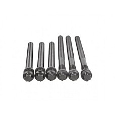 SET PREZOANE CHIULOASA