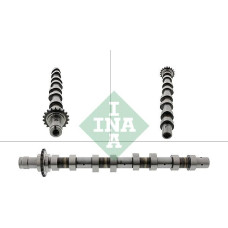 Ax cu came PEUGEOT EXPERT TEPEE (VF3X_), Dubita, 01.2007 - INA 428 0119 10