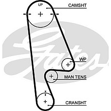 Curea de distributie HONDA ODYSSEY (RA_), Dubita, 10.1995 - 10.2000 Gates 5480XS
