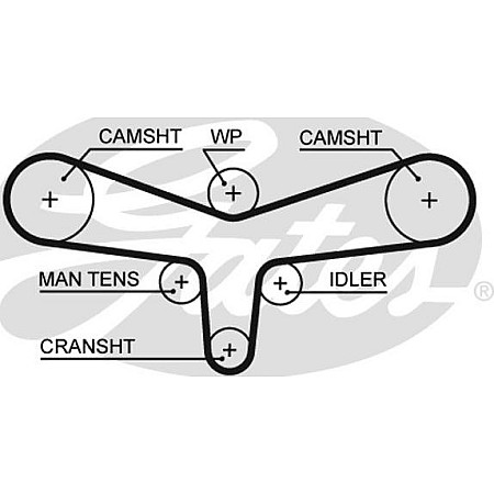 Curea de distributie AUDI A4 B5 A4 B6 A4 B7 A6 C5 A8 D2 ALLROAD C5 SKODA SUPERB I VW PASSAT B5 PASSAT B5.5 2.5D 0 AUDI A4 (8D2, B5), Sedan, 11.1994 - 12.2001 Gates 5557XS
