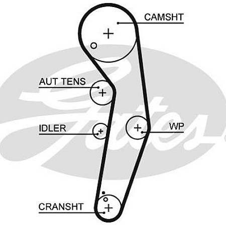 Curea de distributie AUDI A2 A3 A4 B5 A4 B6 A4 B7 A6 C5 FORD GALAXY I GALAXY MK I SEAT ALHAMBRA ALTEA ALTEA XL AR VW POLO III (6N2), Hatchback, 10.1999 - 10.2001 Gates 5569XS
