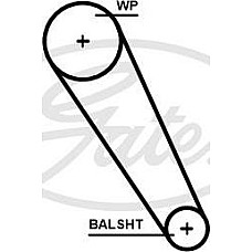 Curea de distributie VW MULTIVAN VI (SGF, SGM, SGN, SHM, SHN), Dubita, 04.2015 - Gates 5698XS