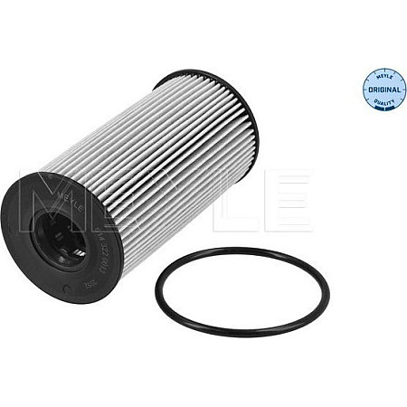 Filtru ulei RENAULT LAGUNA II (BG0/1_), Hatchback, 03.2001 - 12.2007 Meyle 614 322 0013