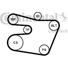 Set curea transmisie cu caneluri BMW 3 Compact IV (E46), Hatchback, 03.2001 - 02.2005 Continental 6PK1538K1