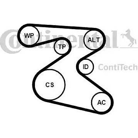 Set curea transmisie cu caneluri SEAT IBIZA V (6J5, 6P1), Hatchback, 03.2008 - 12.2017 Continental 6PK1873K1
