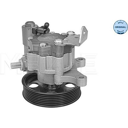 Pompa hidraulica. sistem de directie Hydraulic pump power steering MERCEDES SPRINTER 35-T B906 SPRINTER 3-T B906 SPRINTER MERCEDES-BENZ SPRINTER 3,5-t (906), Cadru de sprijin, 06.2006 - Meyle 014 631 0029