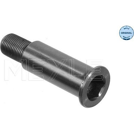 Pivot lagar,rola de tensionare MERCEDES-BENZ S-CLASS (W140), Sedan, 02.1991 - 10.1998 Meyle 014 020 0070