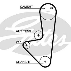 Curea de distributie CITROEN BERLINGO BERLINGO-MINIVAN C2 C3 I C3 II C3 PLURIEL NEMO NEMO-MINIVAN SAXO XSARA FIAT CITROEN C2 (JM_), Hatchback, 07.2003 - 09.2017 Gates 5575XS