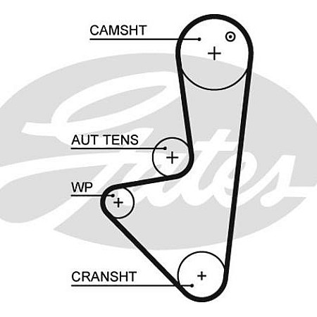 Curea de distributie CITROEN BERLINGO BERLINGO-MINIVAN C2 C3 I C3 II C3 PLURIEL NEMO NEMO-MINIVAN SAXO XSARA FIAT CITROEN C2 (JM_), Hatchback, 07.2003 - 09.2017 Gates 5575XS