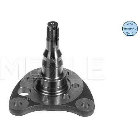 Articulatie directie. suspensie roata stecher butuc roata spate Dreapta SEAT CORDOBA CORDOBA VARIO IBIZA II TOLED VW GOLF III Variant (1H5), Turism, 07.1993 - 04.1999 Meyle 100 501 0011