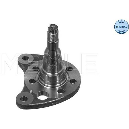 Articulatie directie. suspensie roata stecher butuc roata spate Stanga SEAT CORDOBA CORDOBA VARIO IBIZA II TOLEDO VW GOLF III (1H1), Hatchback, 08.1991 - 07.1998 Meyle 100 501 0012